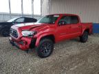Top Destinations for Shipping Cars from the USA