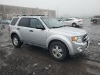 Lot #3030546508 2011 FORD ESCAPE XLT