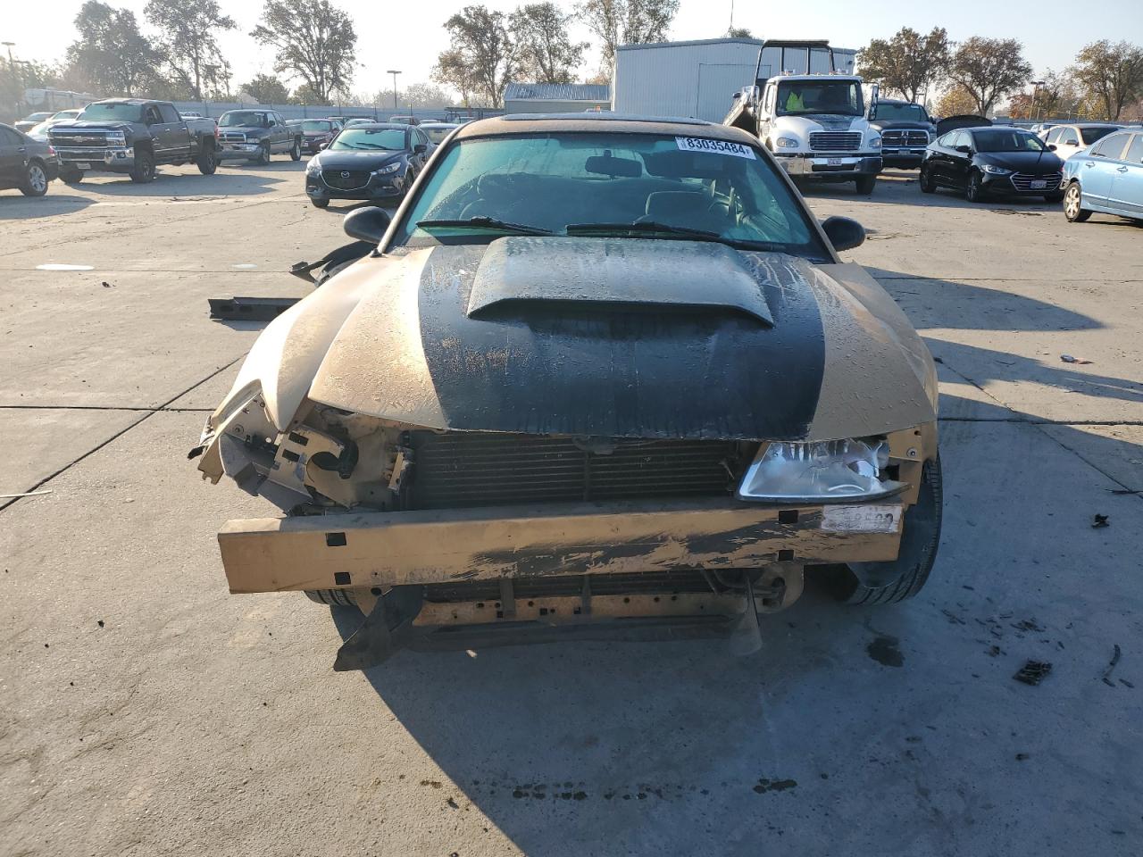 Lot #3044382764 2000 FORD MUSTANG