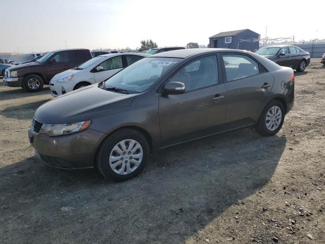 KIA FORTE EX