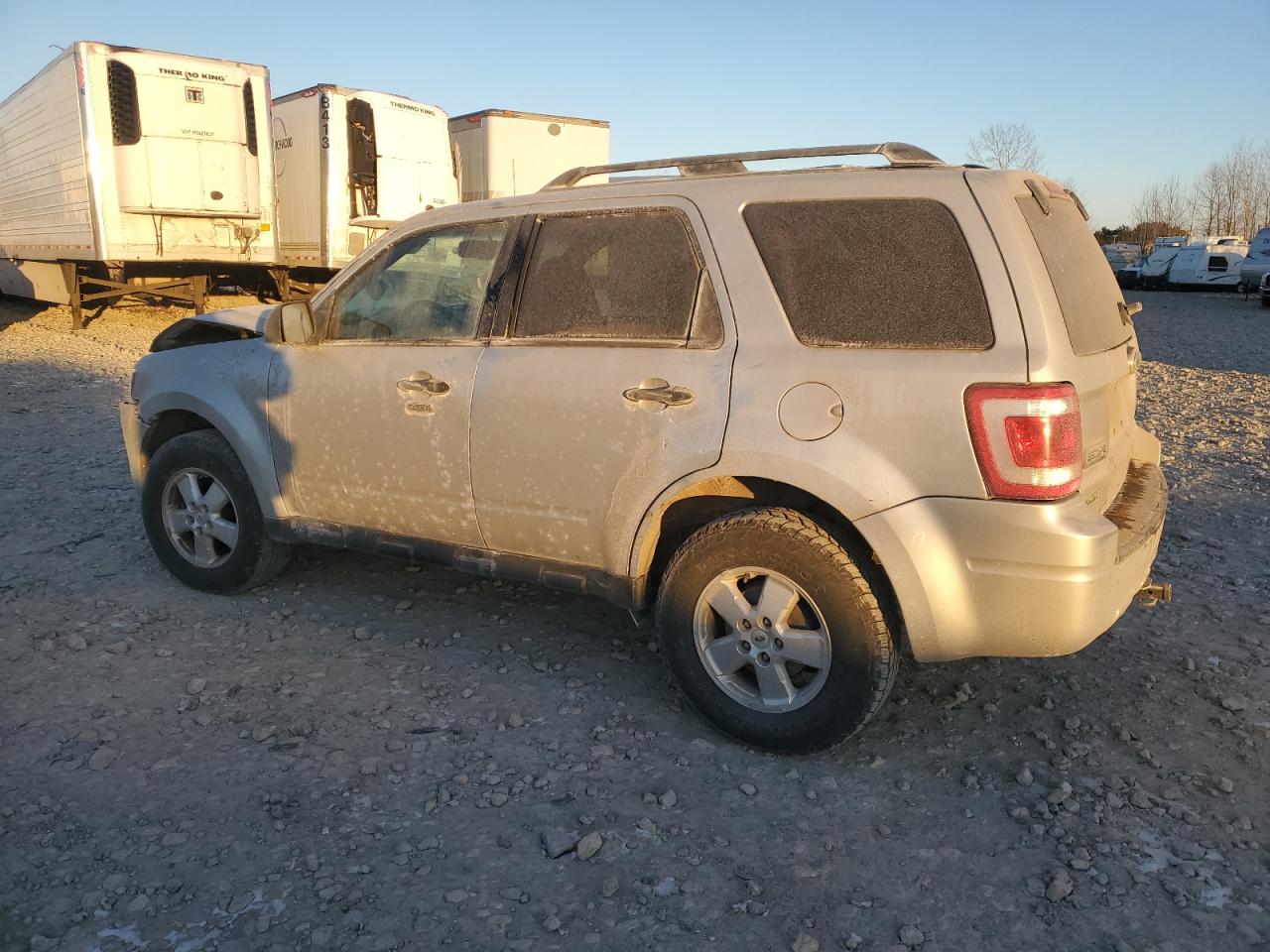 Lot #3034627774 2009 FORD ESCAPE XLT