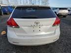 Lot #3024608728 2010 TOYOTA VENZA