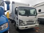 Lot #3028278787 2021 ISUZU NPR HD