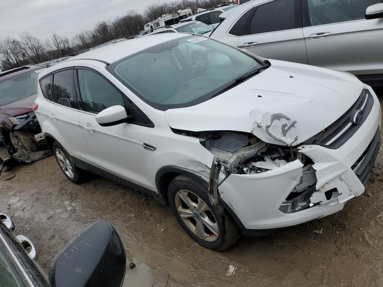 Lot #3050374917 2013 FORD ESCAPE SE