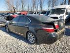 Lot #3024289810 2008 LEXUS LS 460