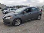 Lot #3024889371 2017 FORD FOCUS SE