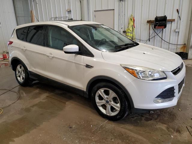 2016 FORD ESCAPE SE - 1FMCU9GX6GUA34404