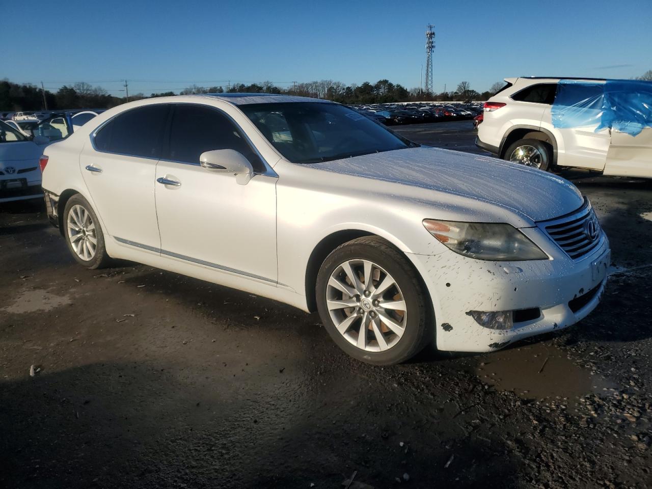 Lot #3041892474 2010 LEXUS LS 460