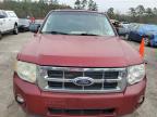 Lot #3040961472 2010 FORD ESCAPE XLT