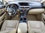 Lot #3028271788 2013 LEXUS RX 350 BAS