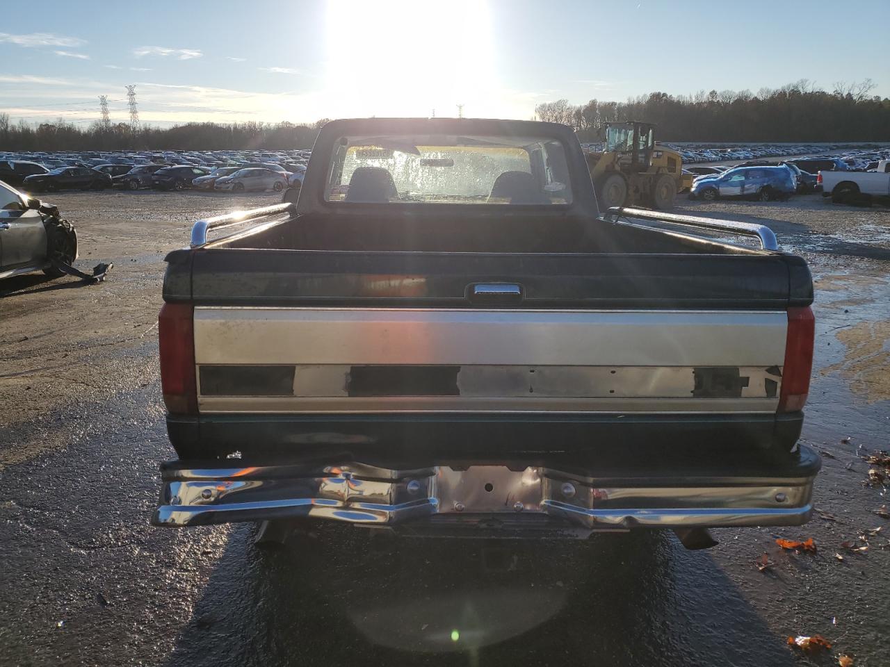 Lot #3030407462 1995 FORD F150