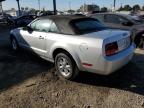 Lot #3024565623 2006 FORD MUSTANG