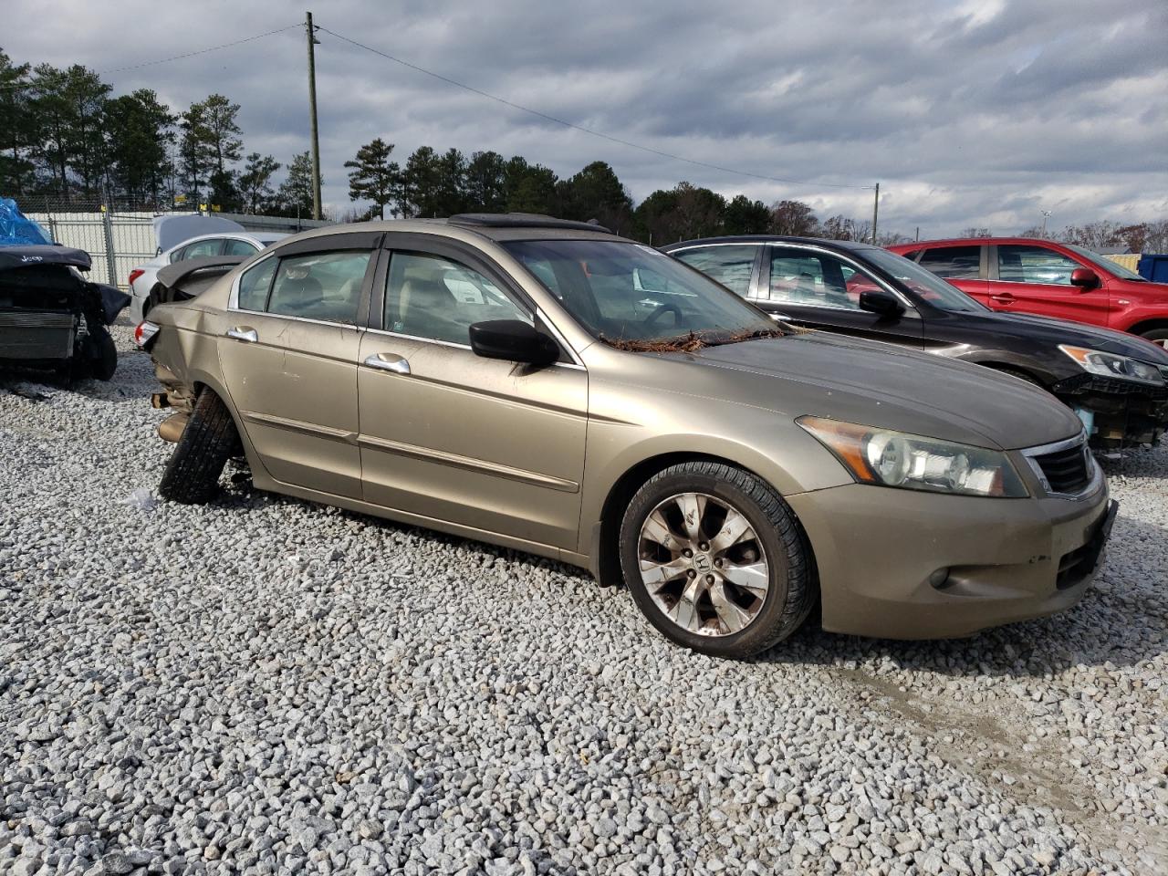 Lot #3028380819 2009 HONDA ACCORD EXL