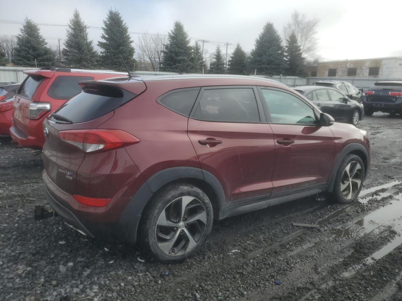 Lot #3027077781 2016 HYUNDAI TUCSON LIM