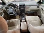 Lot #3023999230 2009 TOYOTA COROLLA BA