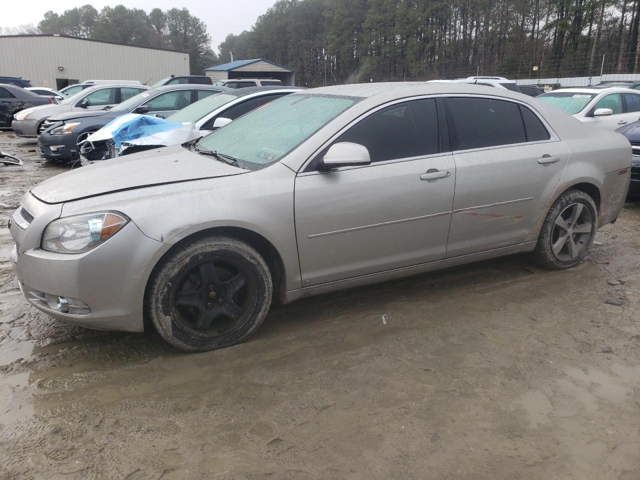 Lot #3033329808 2009 CHEVROLET MALIBU 1LT