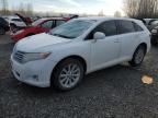 Lot #3024608728 2010 TOYOTA VENZA