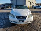 Lot #3025043193 2008 LEXUS ES 350