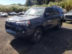 2024 TOYOTA 4RUNNER SR - JTERU5JR6R6237944