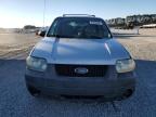 Lot #3024303006 2005 FORD ESCAPE XLT