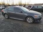 Lot #3024608712 2017 KIA OPTIMA HYB