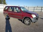 Lot #3024185855 2004 HONDA CR-V LX