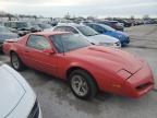 Lot #3049653206 1991 PONTIAC FIREBIRD B