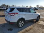 Lot #3023905280 2014 FORD ESCAPE SE