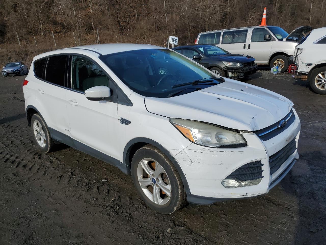 Lot #3044392796 2014 FORD ESCAPE SE