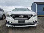 Lot #3024986162 2015 HYUNDAI SONATA SPO