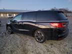 Lot #3027176309 2023 HONDA ODYSSEY EL