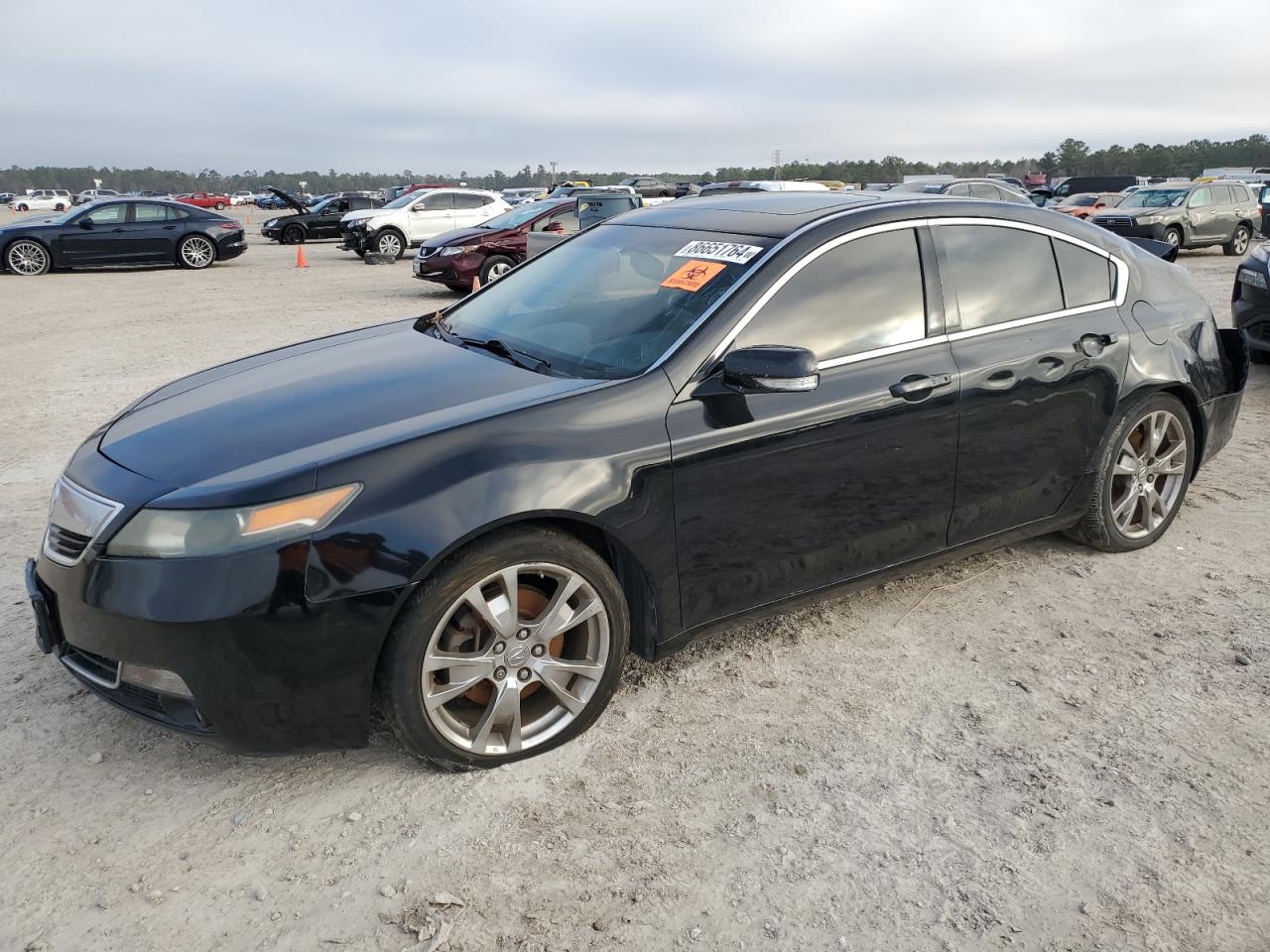 Lot #3036928754 2013 ACURA TL ADVANCE