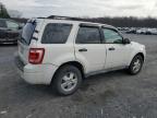 Lot #3023421289 2012 FORD ESCAPE XLT