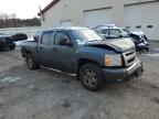 Lot #3025222890 2007 CHEVROLET SILVERADO