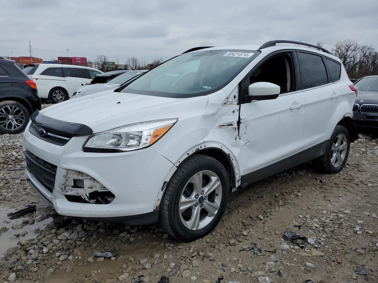 Lot #3034283126 2014 FORD ESCAPE SE