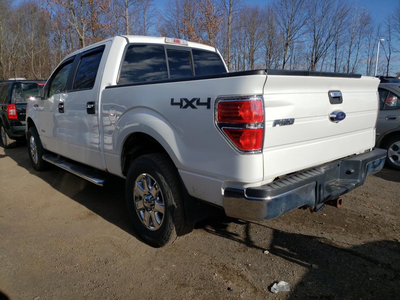 Lot #3022886210 2014 FORD F150 SUPER