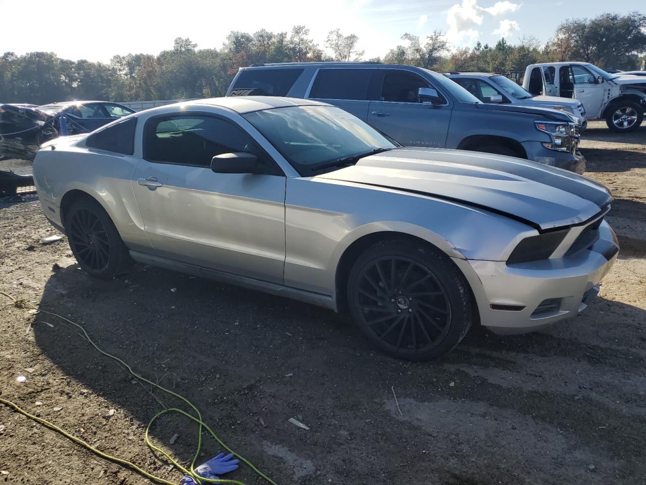 Lot #3028388814 2010 FORD MUSTANG