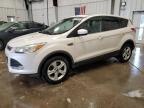 2016 FORD ESCAPE SE - 1FMCU9GX6GUA34404