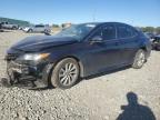 2021 TOYOTA CAMRY LE - 4T1C11AK7MU476949