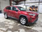 Lot #3025075185 2024 TOYOTA RAV4 LE