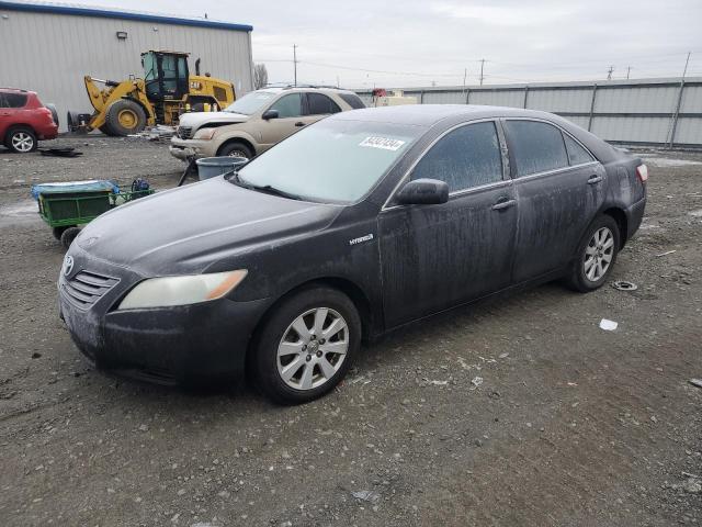 2008 TOYOTA CAMRY HYBR #3024911405