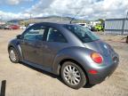 Lot #3023783890 2005 VOLKSWAGEN NEW BEETLE