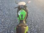 Lot #3049654342 2024 KAWASAKI EX500 A