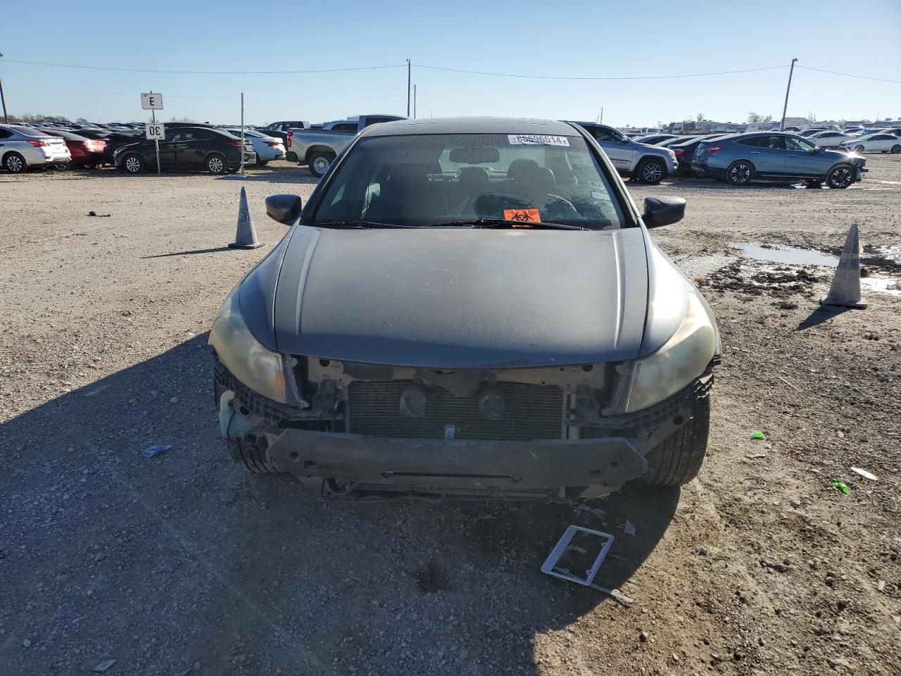 Lot #3048388727 2010 HONDA ACCORD EXL