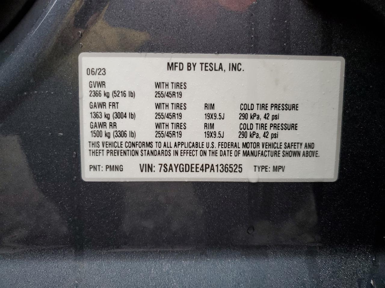 Lot #3027074811 2023 TESLA MODEL Y