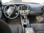 Lot #3024283833 2006 MAZDA TRIBUTE I