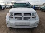 Lot #3025806345 2011 DODGE NITRO SXT