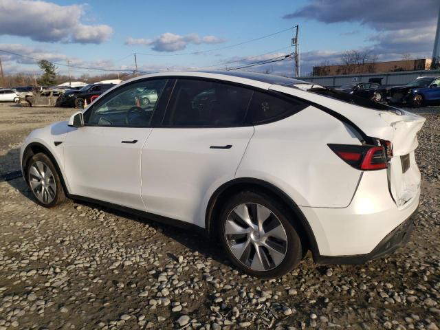 2023 TESLA MODEL Y - 7SAYGAEE7PF749059