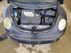 Lot #3025184198 2002 VOLKSWAGEN NEW BEETLE