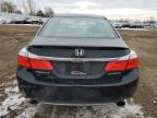 HONDA ACCORD SPO photo